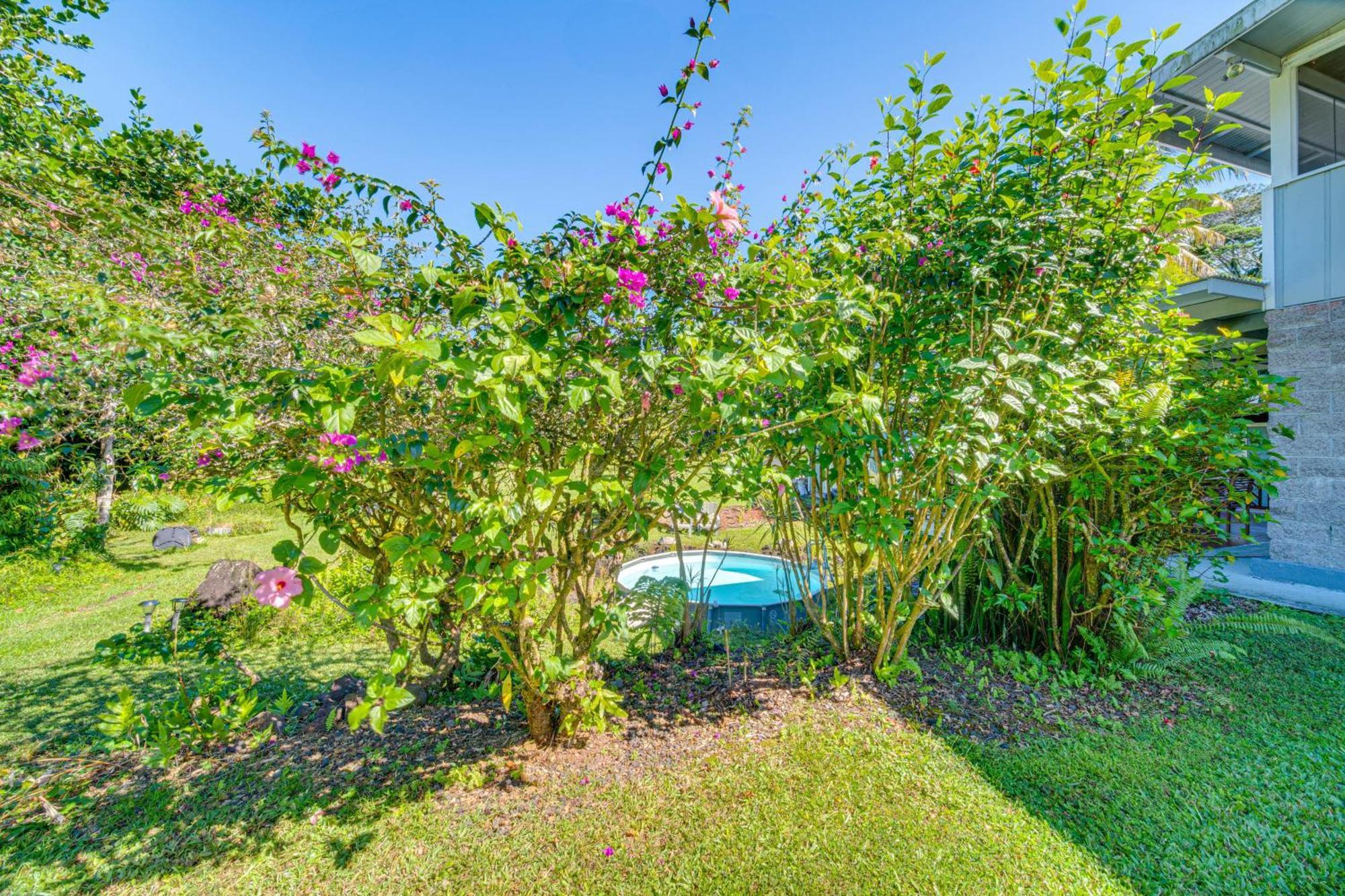 Keaau Apartment On Beautiful Acre With Pool And Deck! Exterior foto